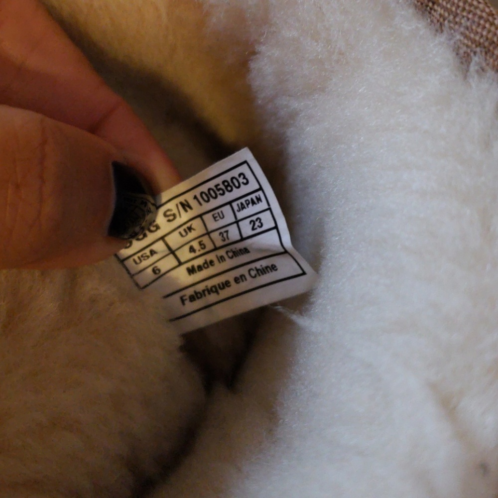 Women's Ugg Short Sundance - Picture 4 of 6